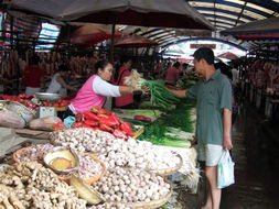 農(nóng)副產(chǎn)品漲價潮下的市民心態(tài) 理性應對與長遠思考