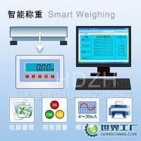 電子稱重4~20mA與0-10V輸出工業衡器供應——精準秤量，賦能智能制造