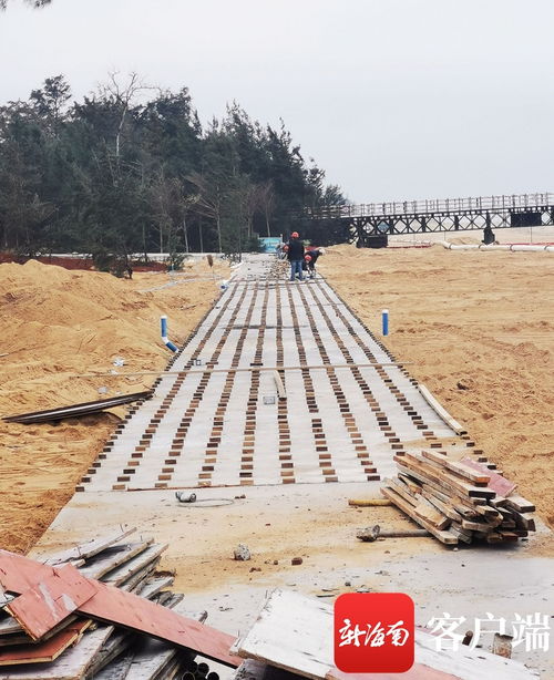 原創組圖 ?？谖骱０敦炌ǜ鹿こ套钚逻M展 國際會展中心附近沿海新建路完成瀝青路面鋪設